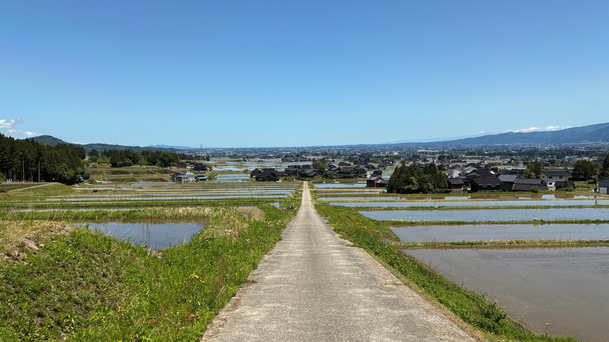 A部門　3位
