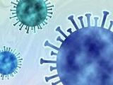 新型ウイルス感染症対策「交流センターの利用制限について」